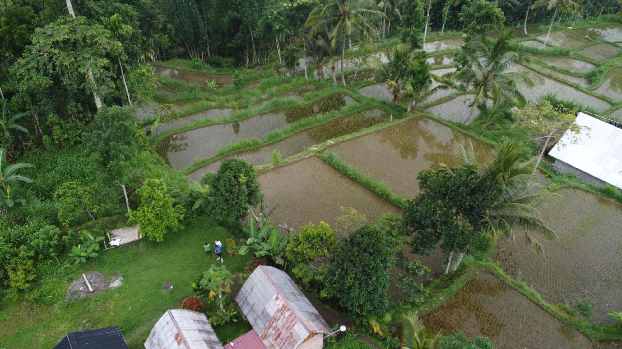 Tetebatu Sunrise Homestay Exterior foto
