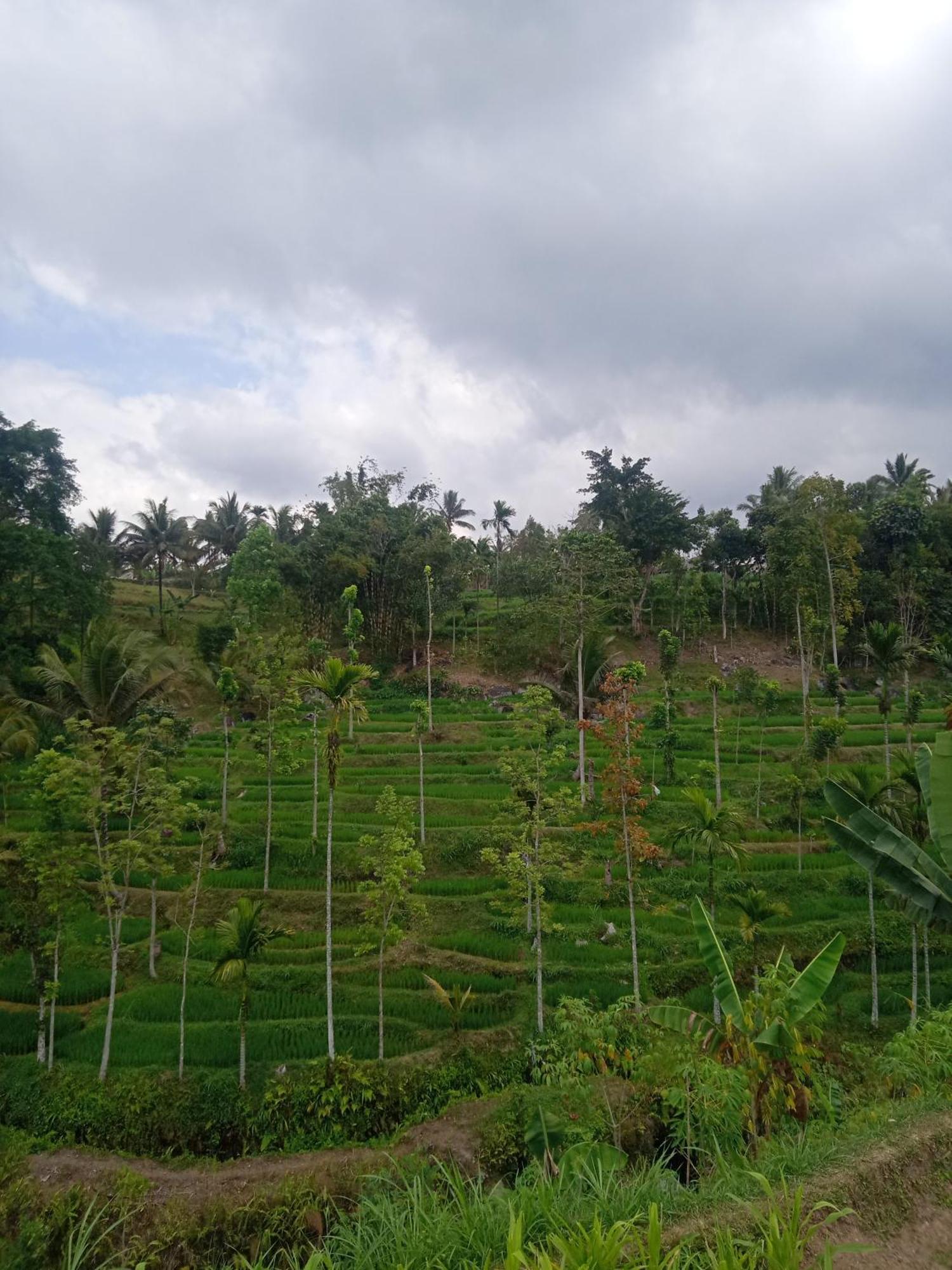 Tetebatu Sunrise Homestay Exterior foto